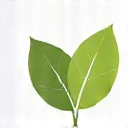 Frunză verde stilizată, simbolizând natural și organic